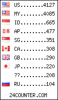 visitors by country counter