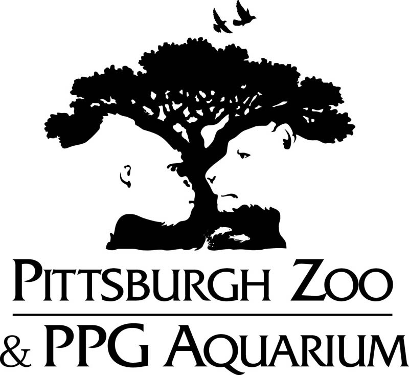 Image result for black and white logo clever