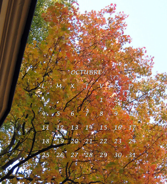 OCTUBRE 5