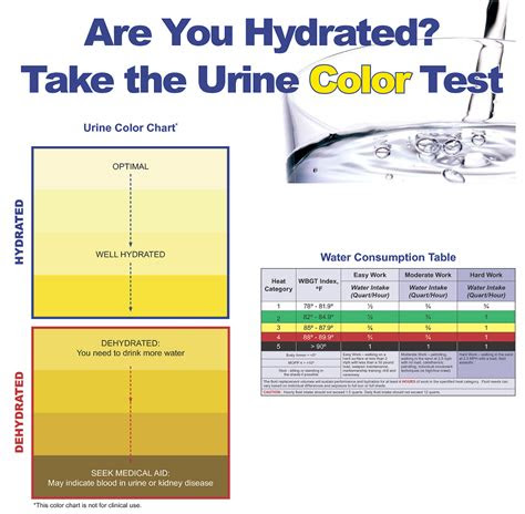  urine color chart what color is normal what does it mean mrs pip