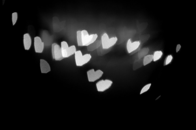 lights 104
