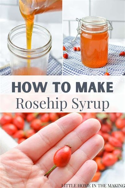How To Make Rosehip Syrup