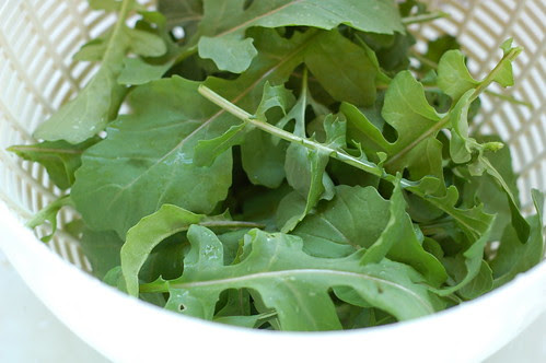 Fresh arugula from the garden by Eve Fox, Garden of Eating blog, copyright 2012