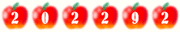 Website Hit Counters