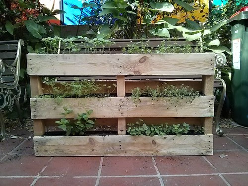 Pallet Garden
