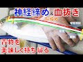 [最新] 魚 神経締め 道具 319452-魚 神経締め 道具 自作