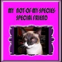 NOMSS Furr-iend