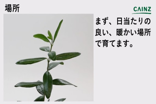 イメージ