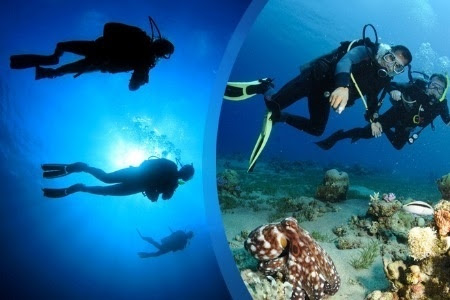Καταδυτικά πάρκα σε Αλόννησο και Νηές