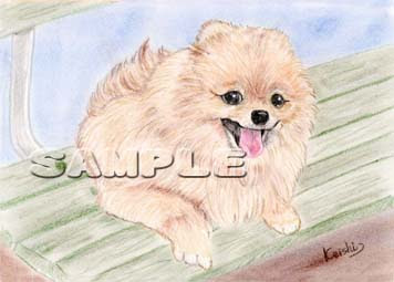 犬のイラストポストカード ベンチの上 ポメラニアン