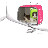 Hello! Myspace Comments