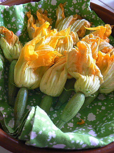 petites courgettes fleurs.jpg