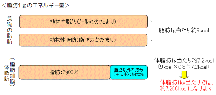 コラム 健康 体力アップ情報 横浜市スポーツ医科学センター