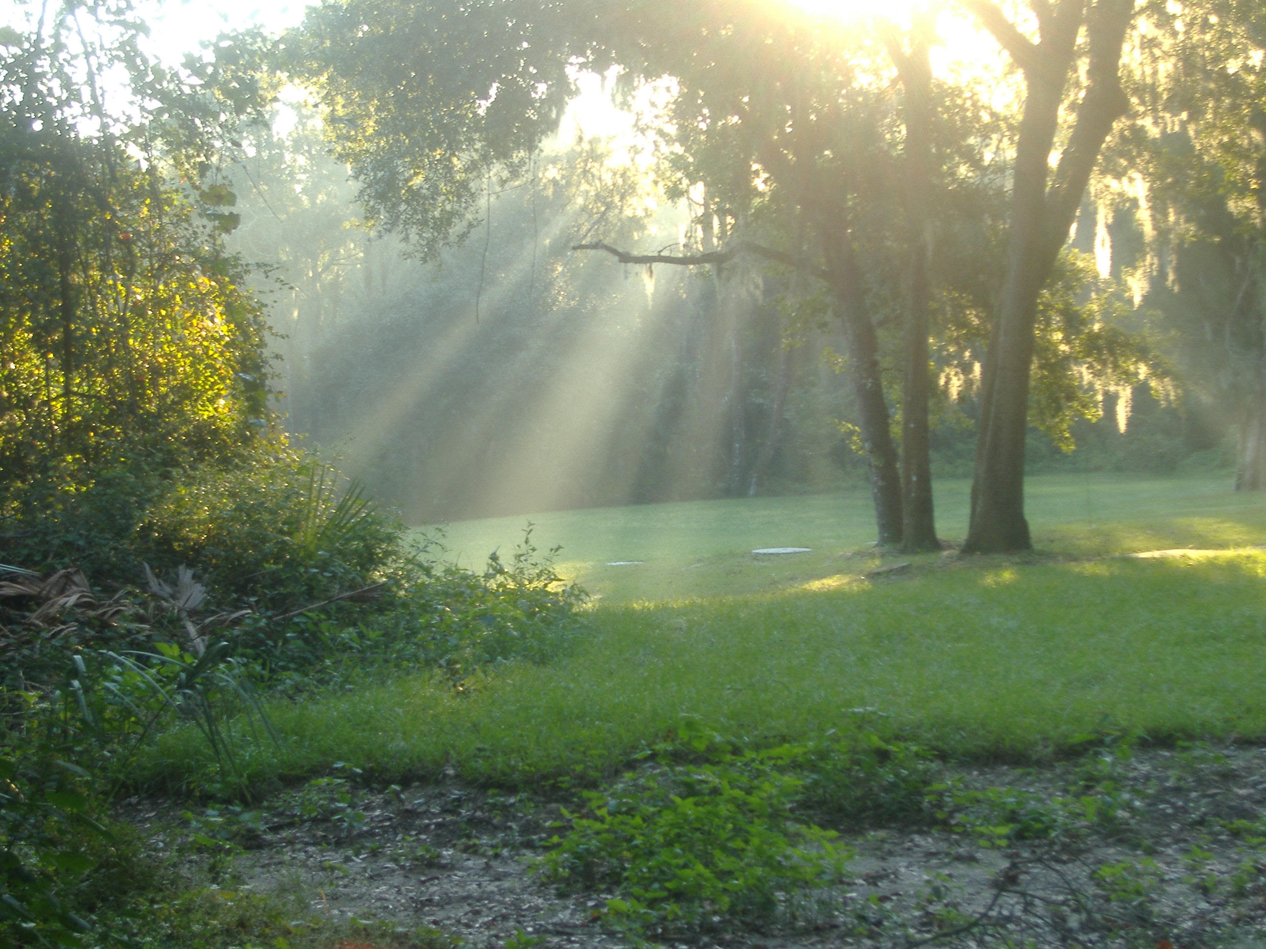 http://fc01.deviantart.net/fs12/i/2006/275/2/0/A_beautiful_day_by_llamababex3.jpg