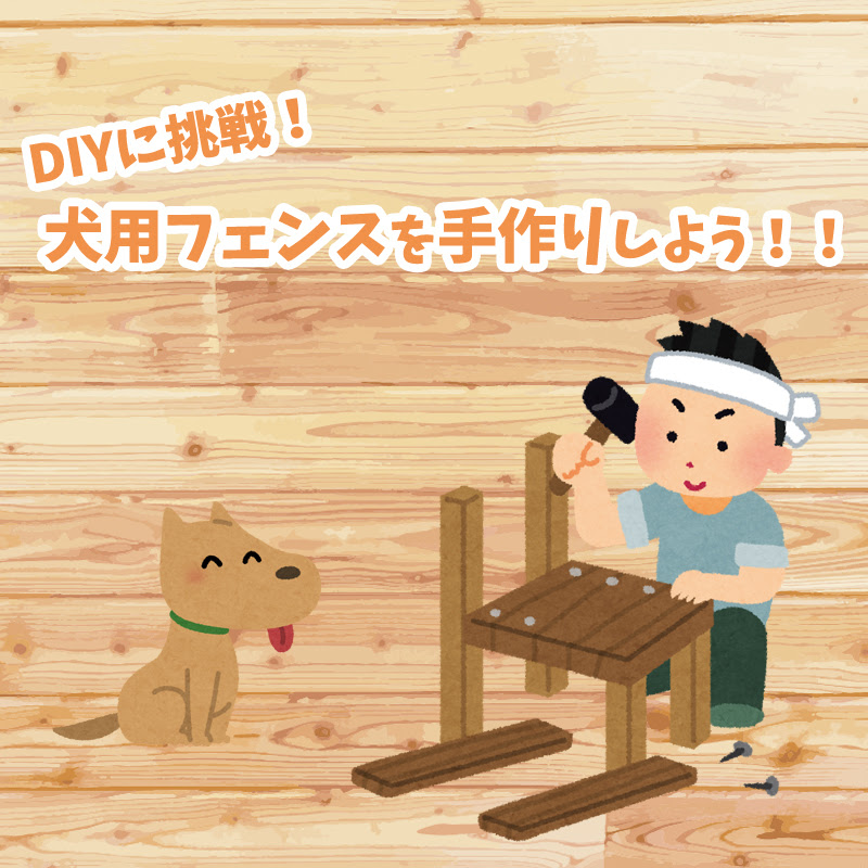 犬用サークルもインテリアの一部 おしゃれな部屋づくりを 犬の総合情報サイト ペットスマイルニュースforワンちゃん