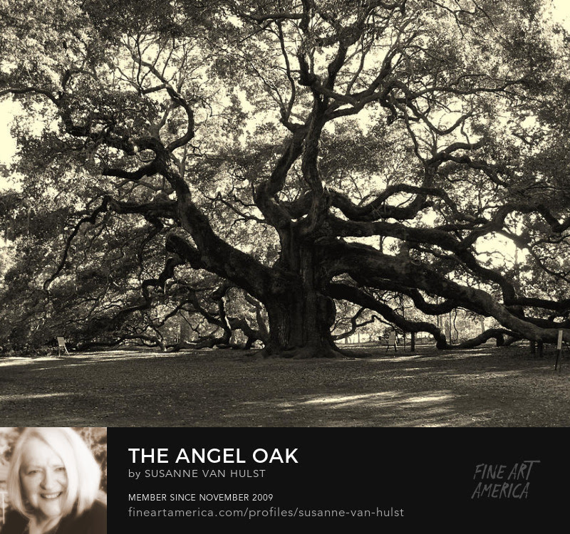 Photography Prints