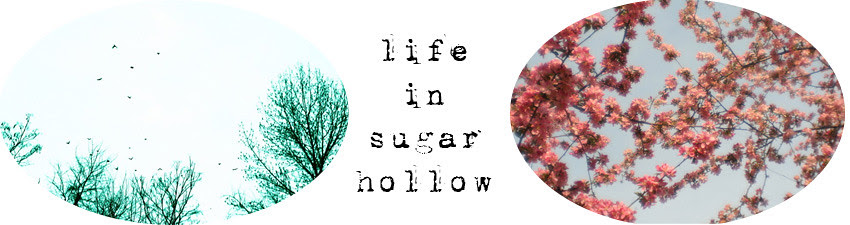 blog header_elliptical_two