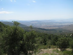 IMG_0528.JPG