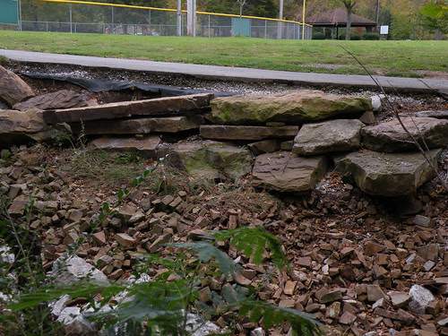 Walker Park Trail erosion. Riparian trees removed for trail DSCN7734