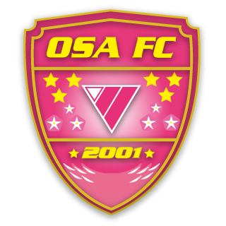 年度セレッソ大阪堺レディース ガールズ セレクション開催のお知らせ ニュース 日本女子サッカーリーグ オフィシャルサイト