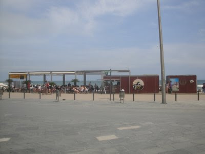 DSC09205.jpg
