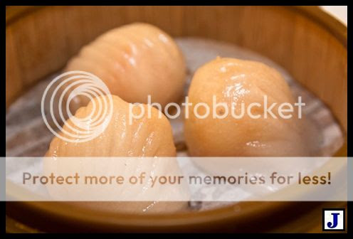  photo IMG_7969_zpsf8724364.jpg