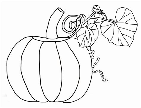  pumpkin coloring pages for preschool coloring home