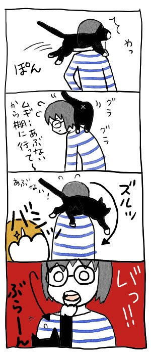 猫の運動神経ってすごい まめぐつ うちの猫って変