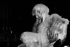 CRW_0500.jpg
