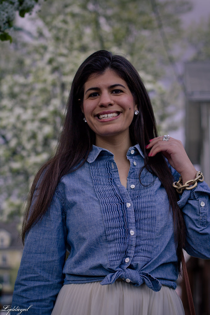 pleats and chambray-4.jpg