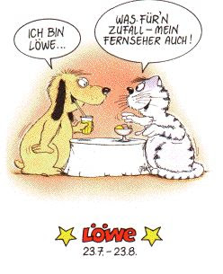 glückwünsche zum geburtstag an schwester