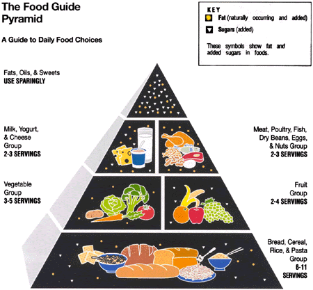The Love Chef For Kids Web Site - The Five Food Groups