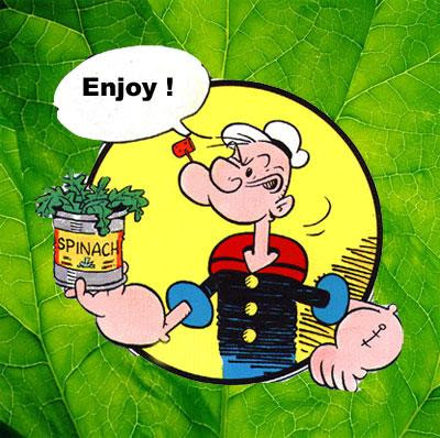http://voa-islam.com/photos/mumtaz/bayam-popeye.jpg