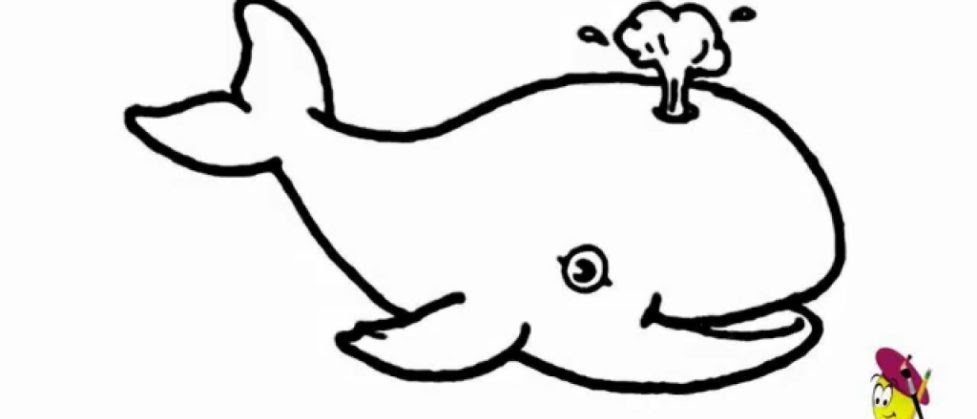 Simple Whale Cartoon Drawing