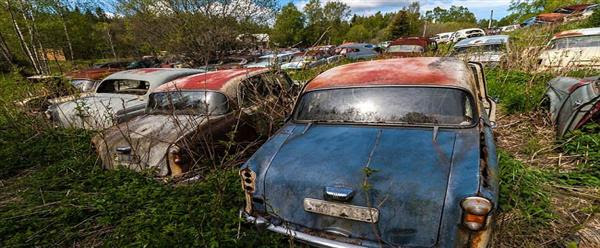 بالصور ..اكتشاف مقبرة بها ألف سيارة كلاسيكية فى غابات السويد