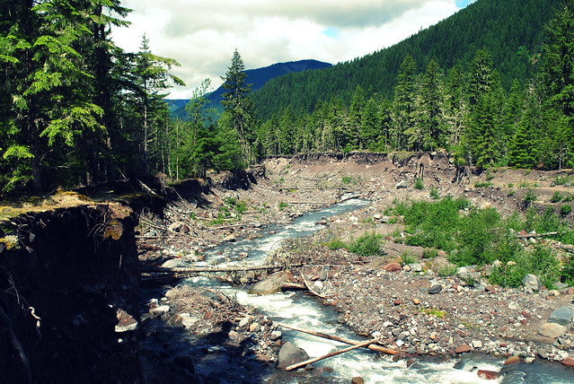 Ramona Falls Trail - Mt Hood