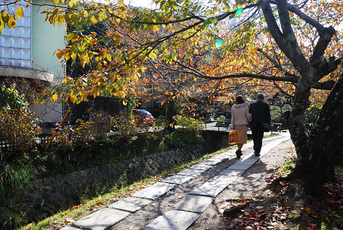 http://farm4.static.flickr.com/3236/3077138528_8d3df8a1eb_o.jpg
