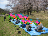 BlogPaint