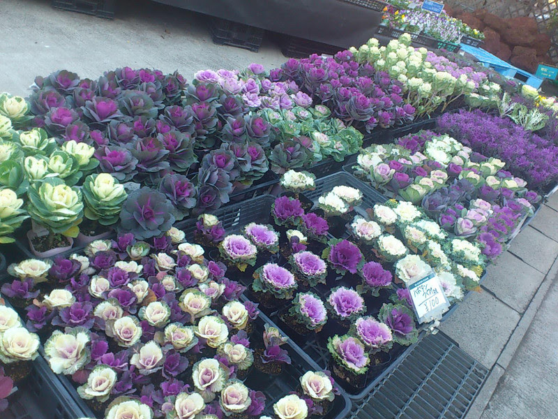 Bonappetit 己斐ガーデンスクエア