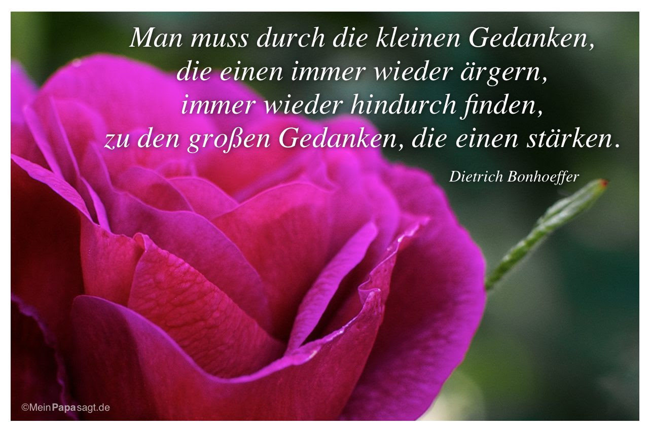 zitate glück von philosophen