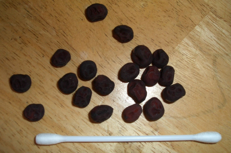 ツタンカーメンのエンドウ豆 Fourth Moon S Weblog