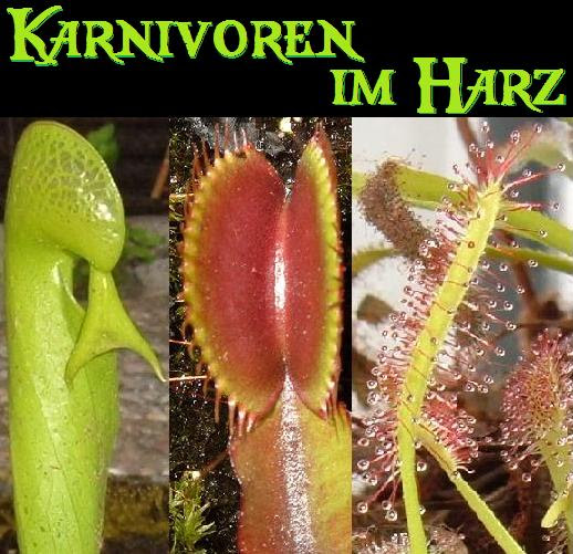 Schnitzelverzehranstalt Maxvorstadt 1 Tip
