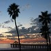 LA Vacation