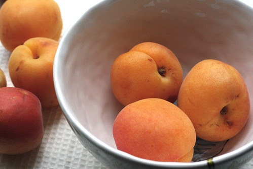 apricots