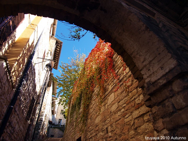 ASSISI