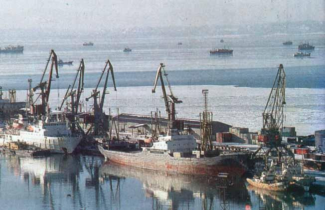 log 47-3 di(n) (Italiano) Korsakov