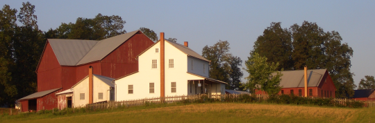 amish education
