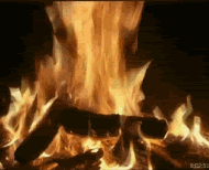 CAMPFIRE Pictures, Images and Photos