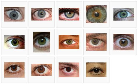 Blue eyes with a brown spot, green eyes, and gray eyes are caused by an entirely different part of the genome. pin en mshahyr