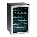 The Wine Enthusiast 28-Bottle Silent Wine Refrigerator - Stainless Steel (2720229)